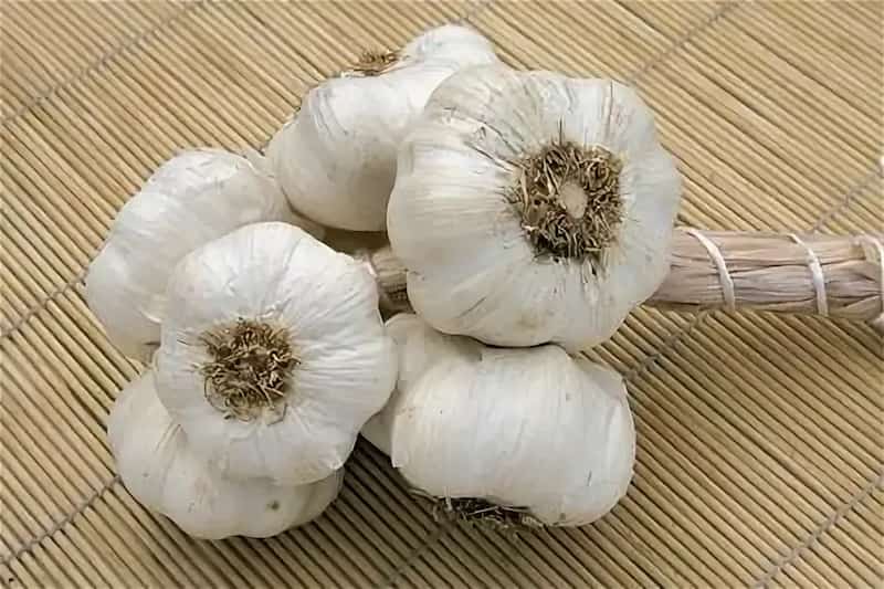 تصویر 1 از سیر اصفهان درجه یک با تندی کم و عطری دلنشین